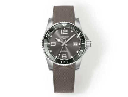 Src 0 264.webp Clone Watch