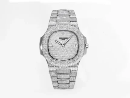 Src 0 319.webp Clone Watch