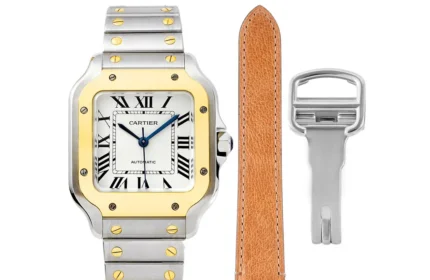 Src 0 39.webp Clone Watch