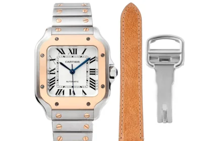 Src 0 40.webp Clone Watch