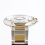 Src 3 9.webp Clone Watch