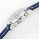 Src 6 365.webp Clone Watch