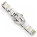 Src 8 119.webp Clone Watch